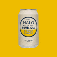 GIF by Halo Alcoholic Kombucha