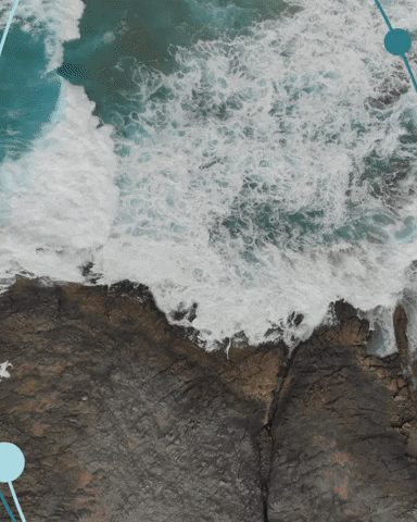 Shanmimedia giphyupload GIF