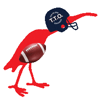 Super Bowl Sticker by TEN TO ONE Rum