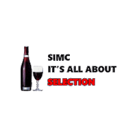 SIMCvienna selection simc flabbergasting simconnect Sticker