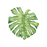 Summer Garden Sticker