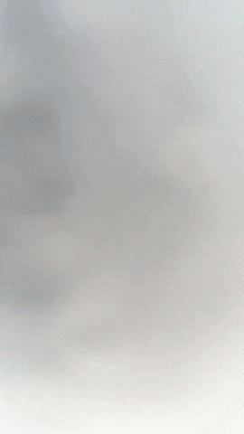 Plushie GIF by Youtooz