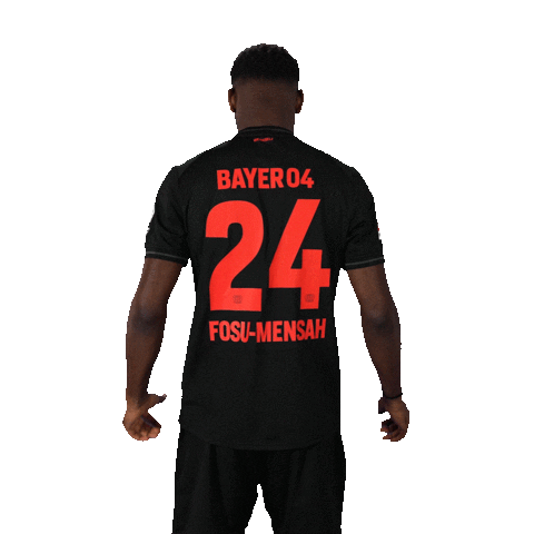Bayer 04 Football Sticker by Bayer 04 Leverkusen