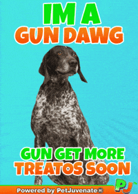 PetJuvenate petjuvenate henlo hooman fren love rescue dogs treatos and woofer for pupper GIF