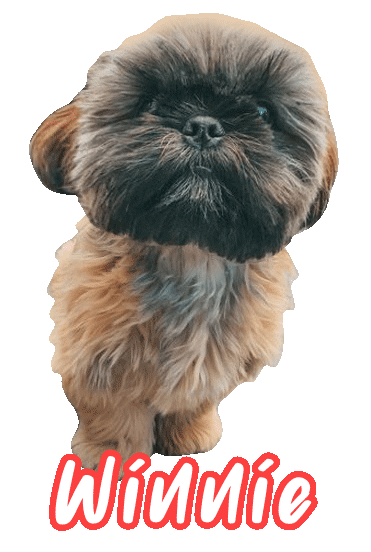 Dog Winnie Sticker