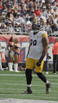 Excited Celebration GIF by Pittsburgh Steelers