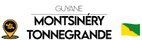 Guyane Sticker by NoirNomads