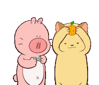 mr_ropig cat pig ropig mrropig Sticker