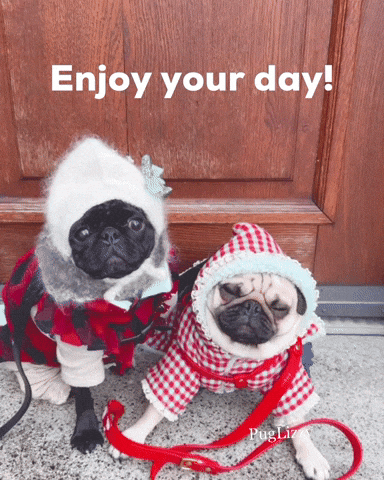 Pug Dog Enjoy Your Day GIF