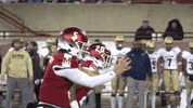 Miamioh GIF by Miami RedHawks Football