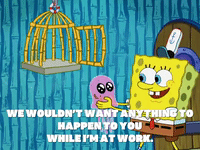 season 8 GIF by SpongeBob SquarePants