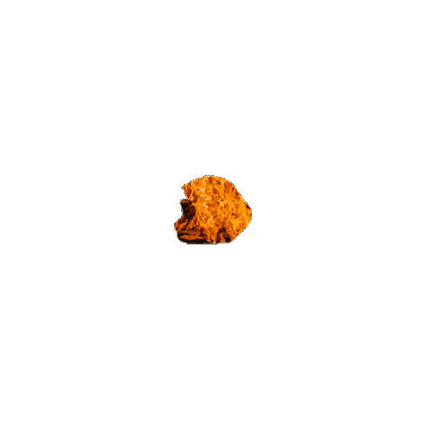 locandadeigiurati giphyupload meat beef Como Sticker