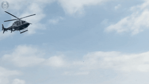 BrightonConey giphygifmaker new york flying police GIF