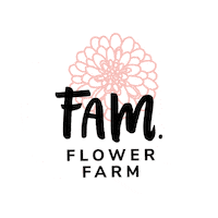 Flower Fields Flowers Sticker by Fam Flower Farm