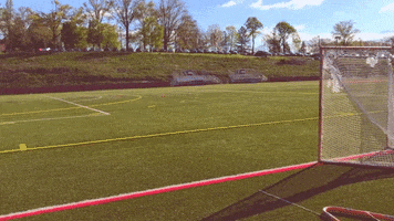 setonhilluniversity griffins seton hill seton hill university go griffins GIF