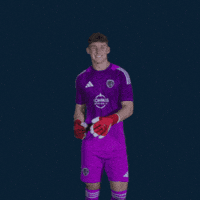 Major League Soccer Football GIF by Sporting KC