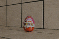egg honor GIF