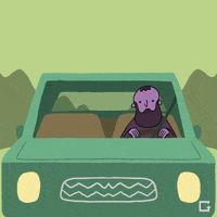 Bald Eagles Alaska GIF by gifnews