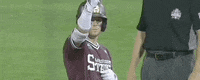 College World Series Baseball GIF by NCAA Championships