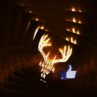 OberkrainerPower  GIF