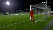 Champions League Football GIF by VfL Wolfsburg