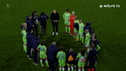 Champions League Football GIF by VfL Wolfsburg