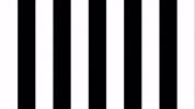 Schwarz-Weiss Football GIF by SK Sturm Graz