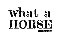 Horse Ride Sticker by HippoSport GmbH