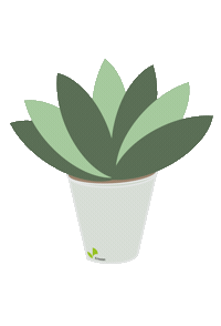Plant Leonberg Sticker by Kriestengarten