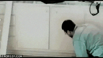 cat fail GIF by Cheezburger