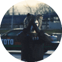 Formula 1 Sport Sticker by Toto