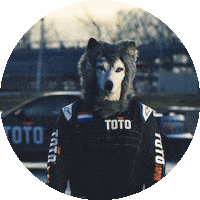 Formula 1 Sport Sticker by Toto