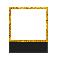 picture style Sticker by KingfisherWorld