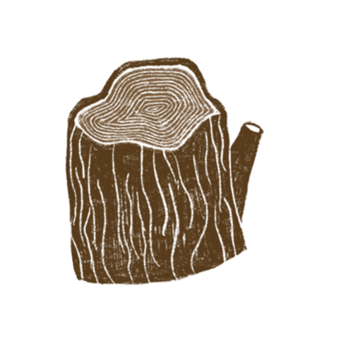 Forest Woods Sticker by Our Second Nature