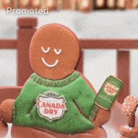 Sleigh GIF by Canada Dry Ginger Ale