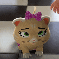 44Cats love cute sweet 44 cats GIF