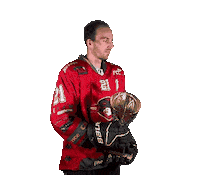 HCORLIZNOJMO 21 orli znojmo orliznojmo Sticker