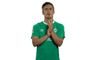 Fin Bartels Football Sticker by SV Werder Bremen
