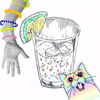 Gasosa party glitter gato festa GIF