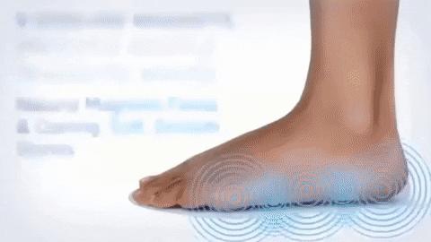 armageddonsports giphygifmaker GIF