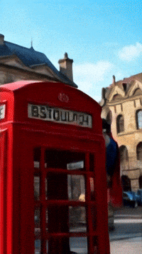 Superman Chihuahuas GIF