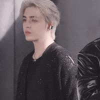 Choi Seungcheol 세븐틴 GIF