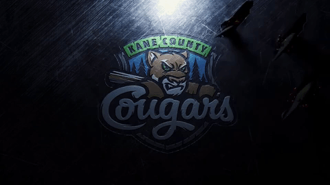 minor league baseball GIF by Kane County Cougars