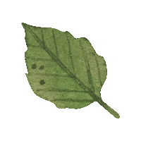 Naturaleza Sticker by Cuenca