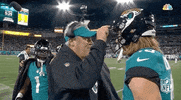 Nfl Playoffs Football GIF by NFL