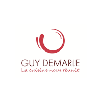 Logo Vdi Sticker by guydemarle