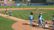 Happy Blue Jays GIF by MLB