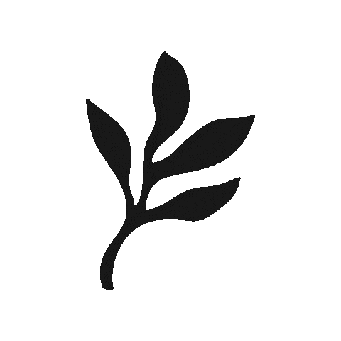 Skincare Waxing Sticker by The Pink Canoe Studio