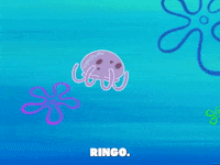 season 5 000 patties under the sea GIF by SpongeBob SquarePants