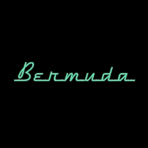 BermudaPEC giphygifmaker 90s 80s neon GIF